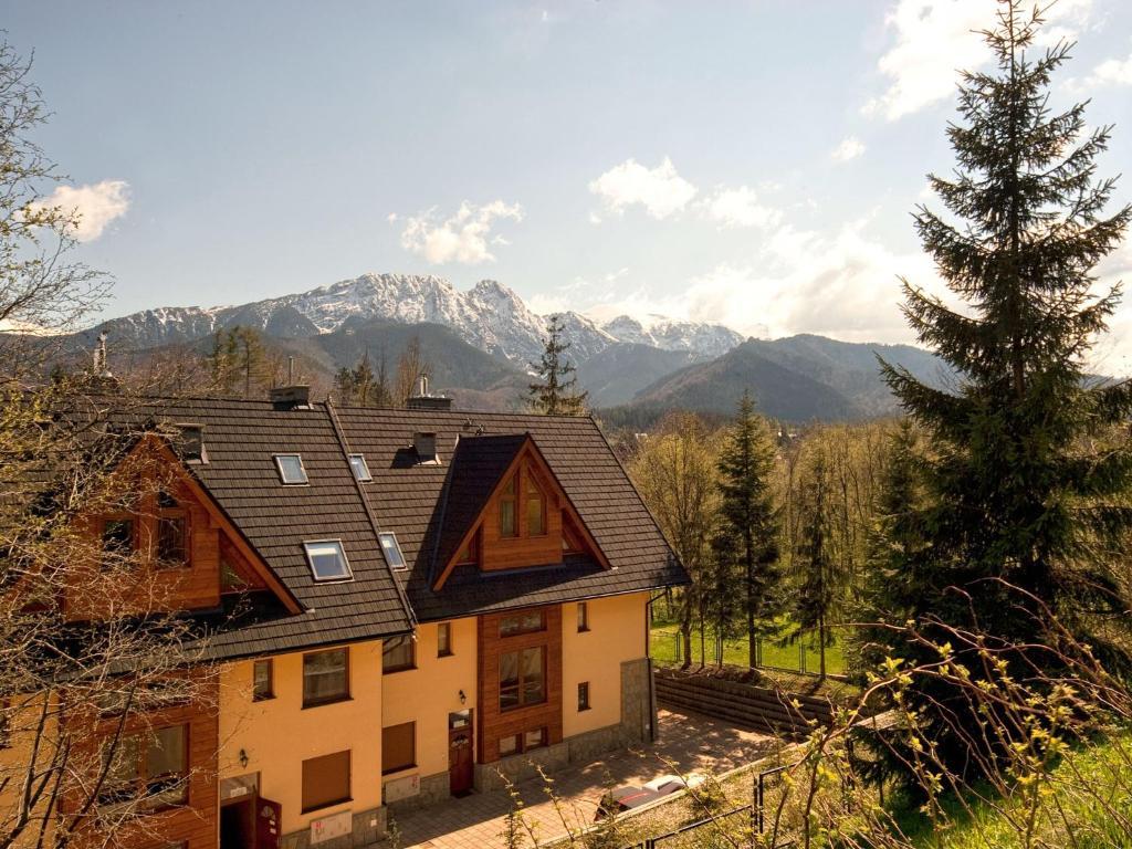 Visitzakopane - Amber